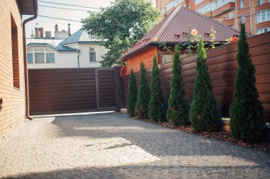 Yeni metal çitli yeşil ladin ağaçları