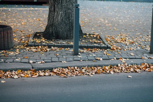 公园内的人行道上铺有铁杆的石头 — 图库照片