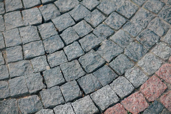 Nested Pavers Various Colors Chic Garden Daytime — Stock Photo, Image
