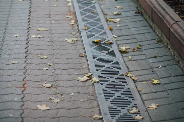 Bardaktan boşanırcasına yağmur yağıyor. 