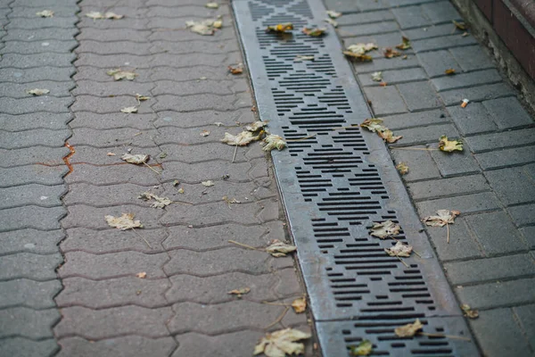 Bardaktan boşanırcasına yağmur yağıyor. 