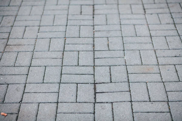 Gündüz vakti şehir parkında yürüyüş yolu taşları 