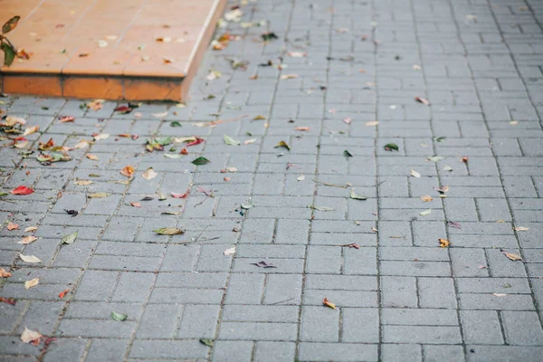 Sokak merdiveni ayrıntıları kaldırım taşlarıyla, gündüz vakti açık havada çekilmiş. 