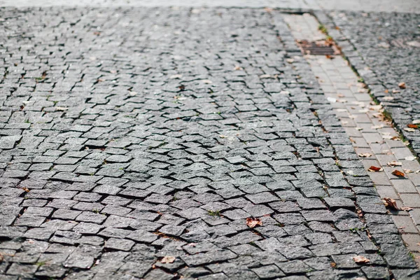 Pavers Aninhados Várias Cores Jardim Chique Durante Dia — Fotografia de Stock