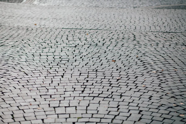 Gündüzleri şık bahçede çeşitli renklerde birbirine yakın köşeler.