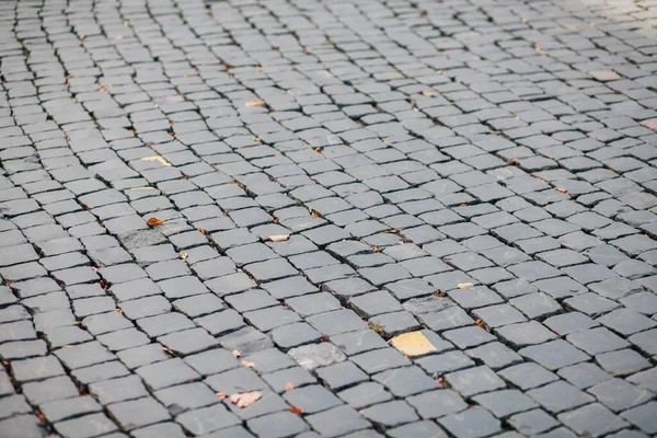 Gündüzleri şık bahçede çeşitli renklerde birbirine yakın köşeler.