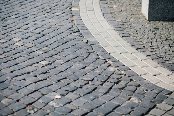 Gündüzleri şık bahçede çeşitli renklerde birbirine yakın köşeler.