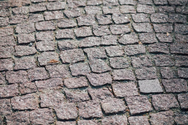 Gündüzleri şık bahçede çeşitli renklerde birbirine yakın köşeler.