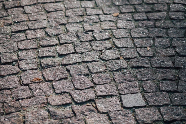 Gündüzleri şık bahçede çeşitli renklerde birbirine yakın köşeler.