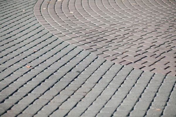 Gündüzleri şık bahçede çeşitli renklerde birbirine yakın köşeler.