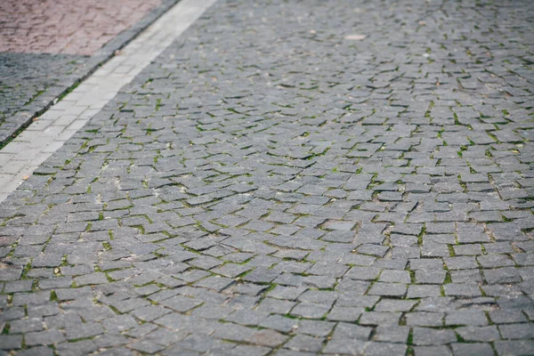 Gündüzleri şık bahçede çeşitli renklerde birbirine yakın köşeler.