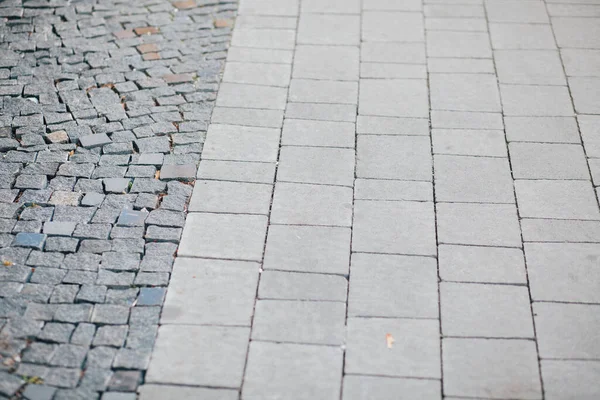 Gündüzleri şık bahçede çeşitli renklerde birbirine yakın köşeler.