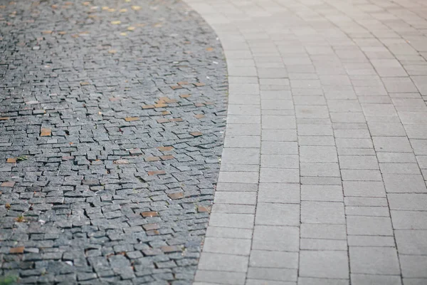 Gündüzleri şık bahçede çeşitli renklerde birbirine yakın köşeler.