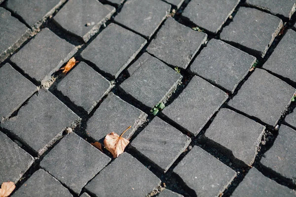 Geschachtelte Pflastersteine Verschiedenen Farben Schicken Garten Tagsüber — Stockfoto