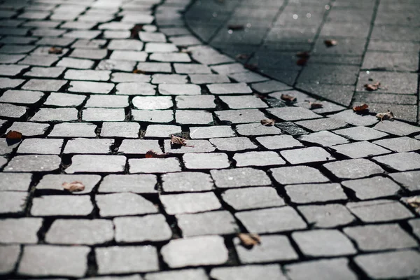 Gündüzleri şık bahçede çeşitli renklerde birbirine yakın köşeler.