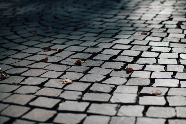 Gündüzleri şık bahçede çeşitli renklerde birbirine yakın köşeler.