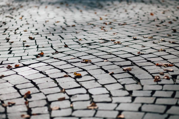 Gündüzleri şık bahçede çeşitli renklerde birbirine yakın köşeler.