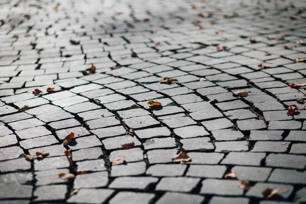 Gündüzleri şık bahçede çeşitli renklerde birbirine yakın köşeler.