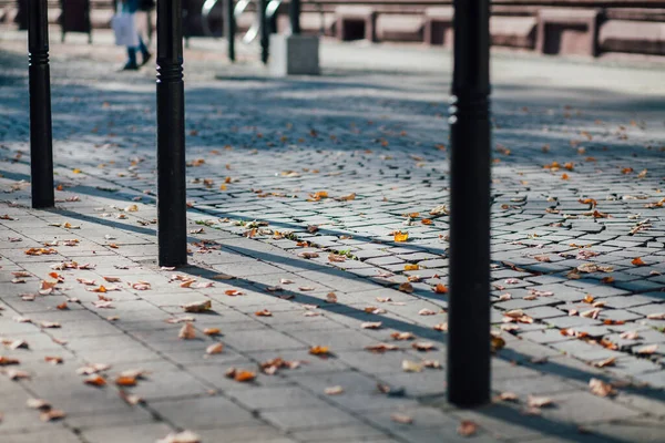 Parktaki yürüyüş yolunda demir kazıklı taşlar. 
