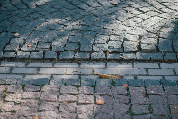 Gündüzleri şık bahçede çeşitli renklerde birbirine yakın köşeler.