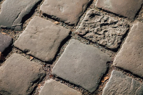 Gündüzleri şık bahçede çeşitli renklerde birbirine yakın köşeler.