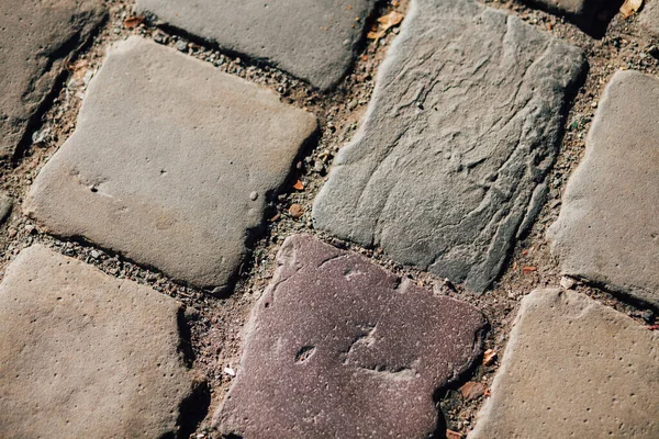 Gündüzleri şık bahçede çeşitli renklerde birbirine yakın köşeler.