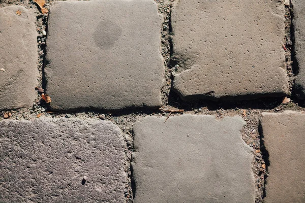 Gündüzleri şık bahçede çeşitli renklerde birbirine yakın köşeler.