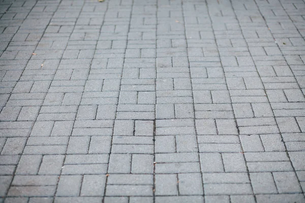 Gündüzleri şık bahçede çeşitli renklerde birbirine yakın köşeler.