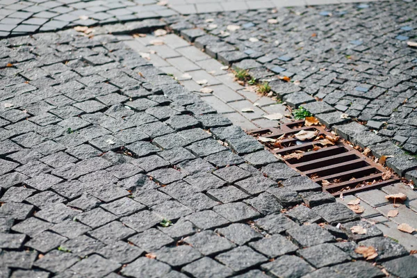 Pavers Aninhados Várias Cores Jardim Chique Durante Dia — Fotografia de Stock