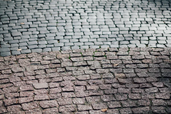 Geschachtelte Pflastersteine Verschiedenen Farben Schicken Garten Tagsüber — Stockfoto