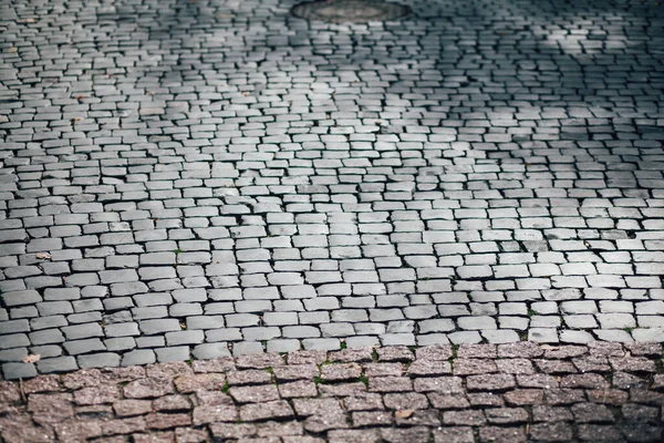 Gündüzleri şık bahçede çeşitli renklerde birbirine yakın köşeler.