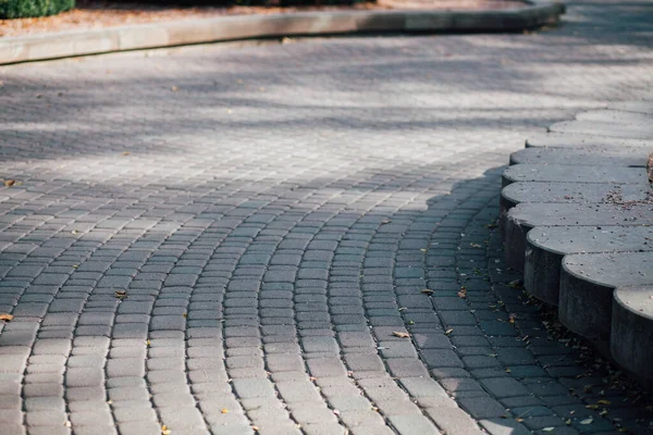 Gündüzleri şık bahçede çeşitli renklerde birbirine yakın köşeler.