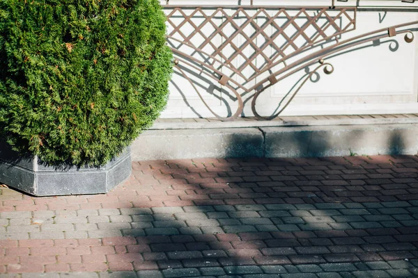 Gündüz vakti şehir parkında yürüyüş yolu taşları 