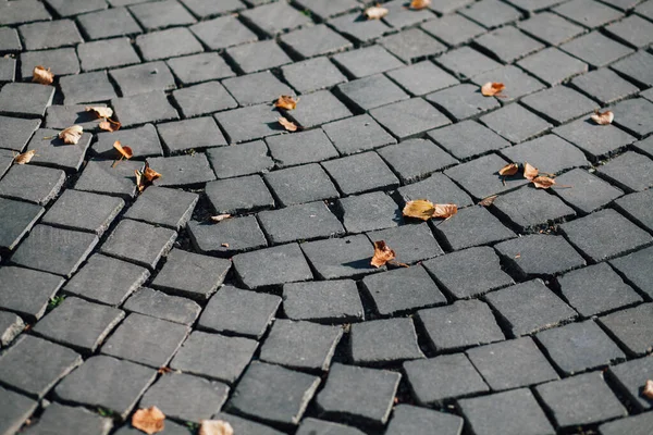 Gündüzleri şık bahçede çeşitli renklerde birbirine yakın köşeler.