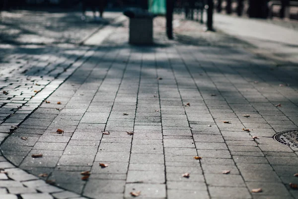 Parktaki yürüyüş yolunda demir kazıklı taşlar. 