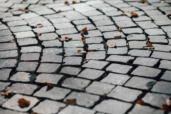 Gündüzleri şık bahçede çeşitli renklerde birbirine yakın köşeler.