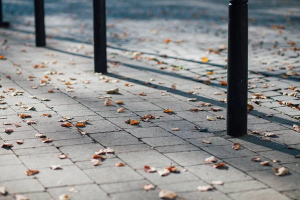 Parktaki yürüyüş yolunda demir kazıklı taşlar. 