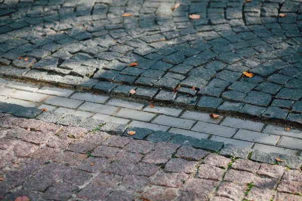 Pavimentazioni Nidificate Vari Colori Giardino Chic Durante Giorno — Foto Stock