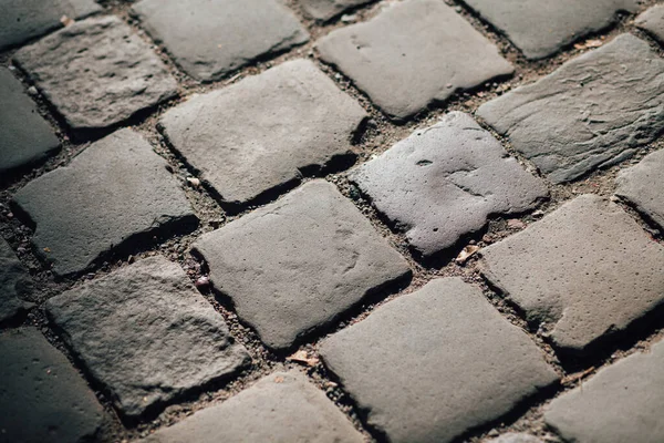 Gündüzleri şık bahçede çeşitli renklerde birbirine yakın köşeler.