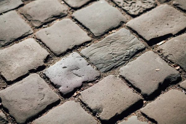 Gündüzleri şık bahçede çeşitli renklerde birbirine yakın köşeler.