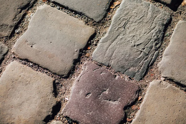 Gündüzleri şık bahçede çeşitli renklerde birbirine yakın köşeler.