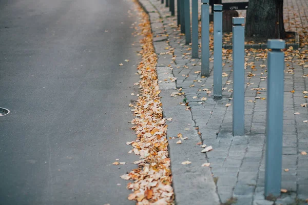 Parktaki yürüyüş yolunda demir kazıklı taşlar. 