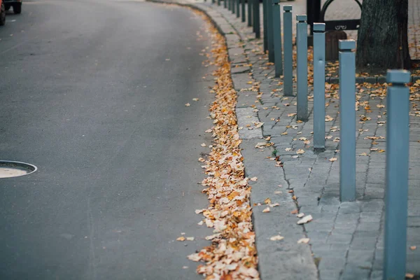 Parktaki yürüyüş yolunda demir kazıklı taşlar. 