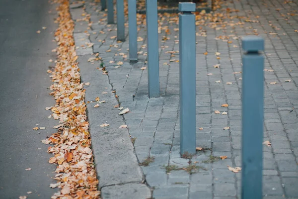 Parktaki yürüyüş yolunda demir kazıklı taşlar. 