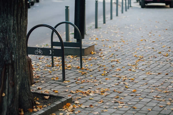 Parktaki yürüyüş yolunda demir kazıklı taşlar. 