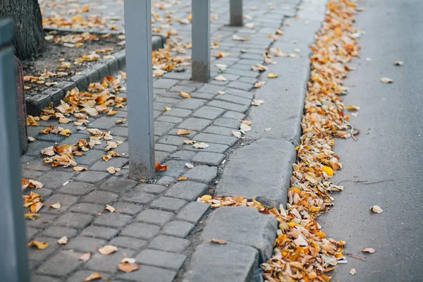 Parktaki yürüyüş yolunda demir kazıklı taşlar. 