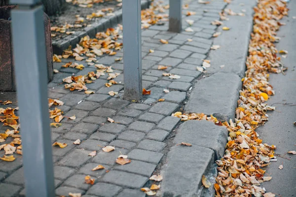 Pavimentazione Pietre Con Pali Ferro Piedi Sentiero Nel Parco — Foto Stock