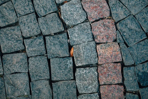 Gündüzleri şık bahçede çeşitli renklerde birbirine yakın köşeler.