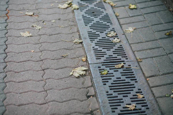 Bardaktan boşanırcasına yağmur yağıyor. 