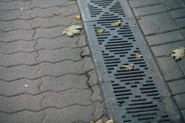 Regenrinne Runter Steinplatten Ringsum — Stockfoto